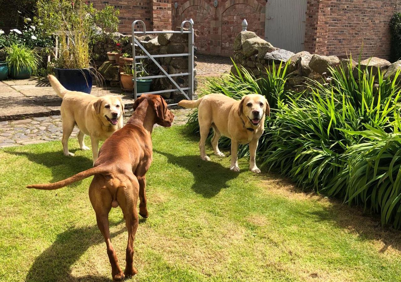 Stable Yard Cottage Greenlaw Esterno foto